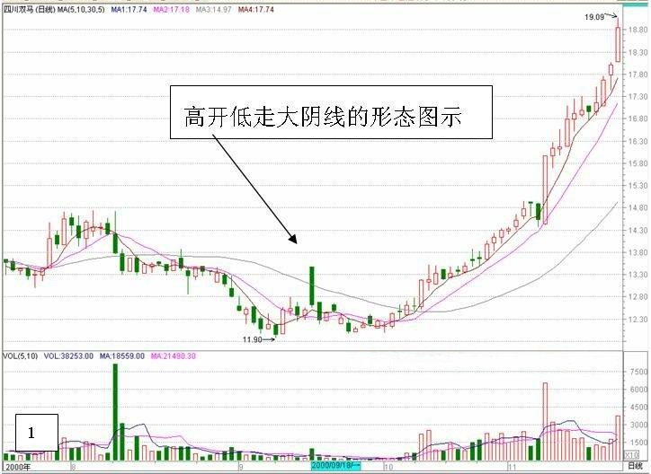 跳空高开大阴线