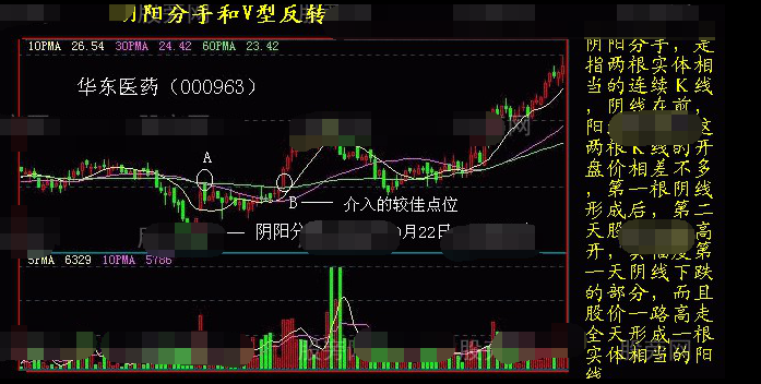 黑马股票特点