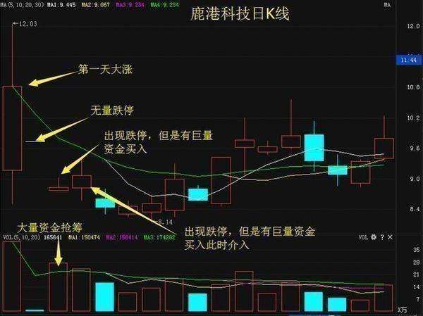 形态选股特征