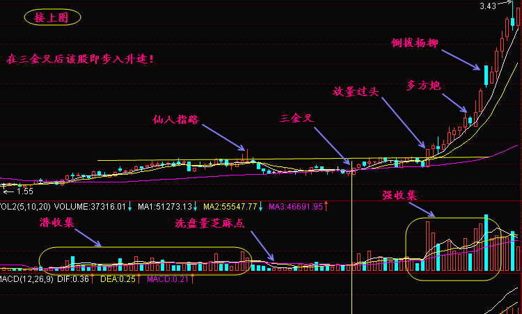 怎样利用三金叉见底来选股6.png