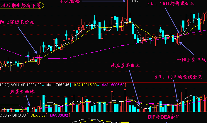 怎样利用三金叉见底来选股5.png