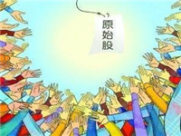 20万原始股能赚多少钱