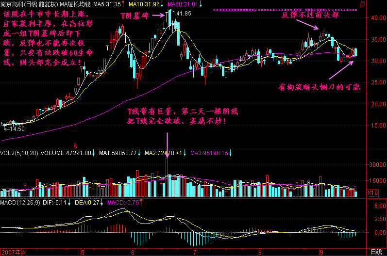 T阴墓碑是什么意思？