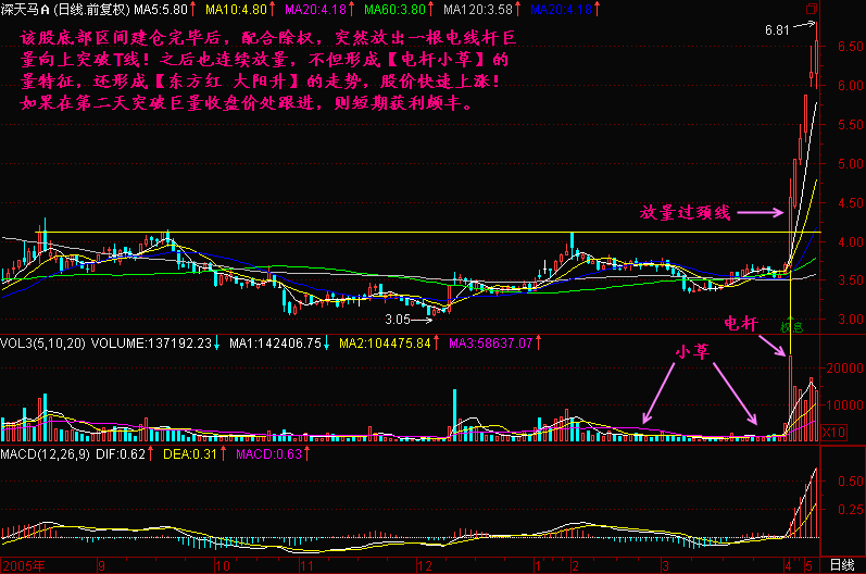 电杆小草暴涨先兆图期货模拟比赛解.gif