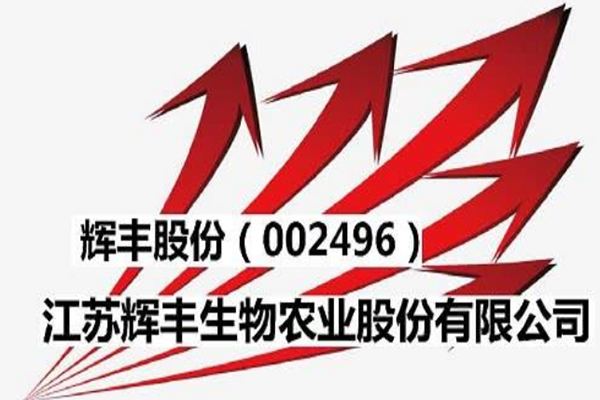 辉丰股份被罚210万