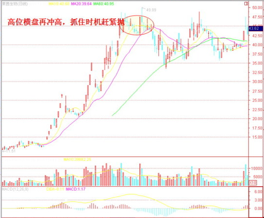 炒股有601011股票哪些技巧 新人必看五条口诀